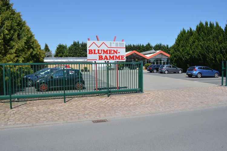 Blumen-Bamme
